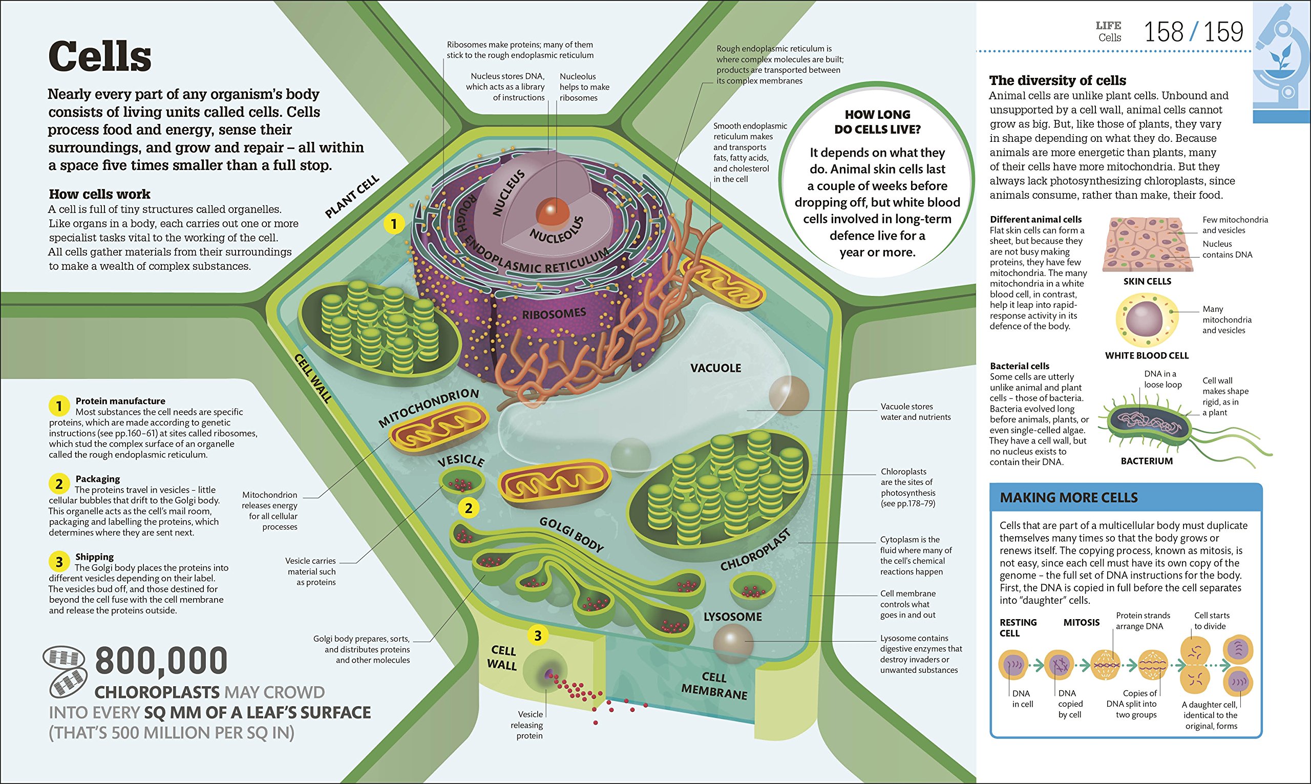 How Science Works: The Facts Visually Explained