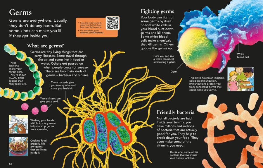 Usborne First Encyclopedia of the Human Body Hardback