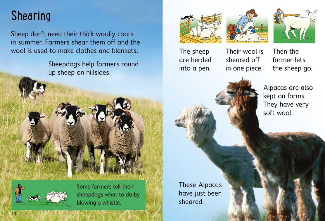 Usborne Beginners Farm Animals