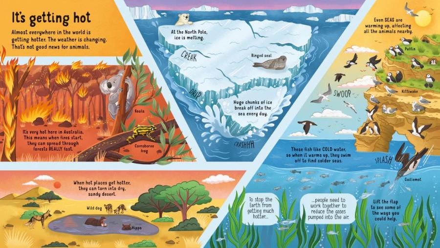 Usborne Lift-the-Flap Look Inside Animals in Danger