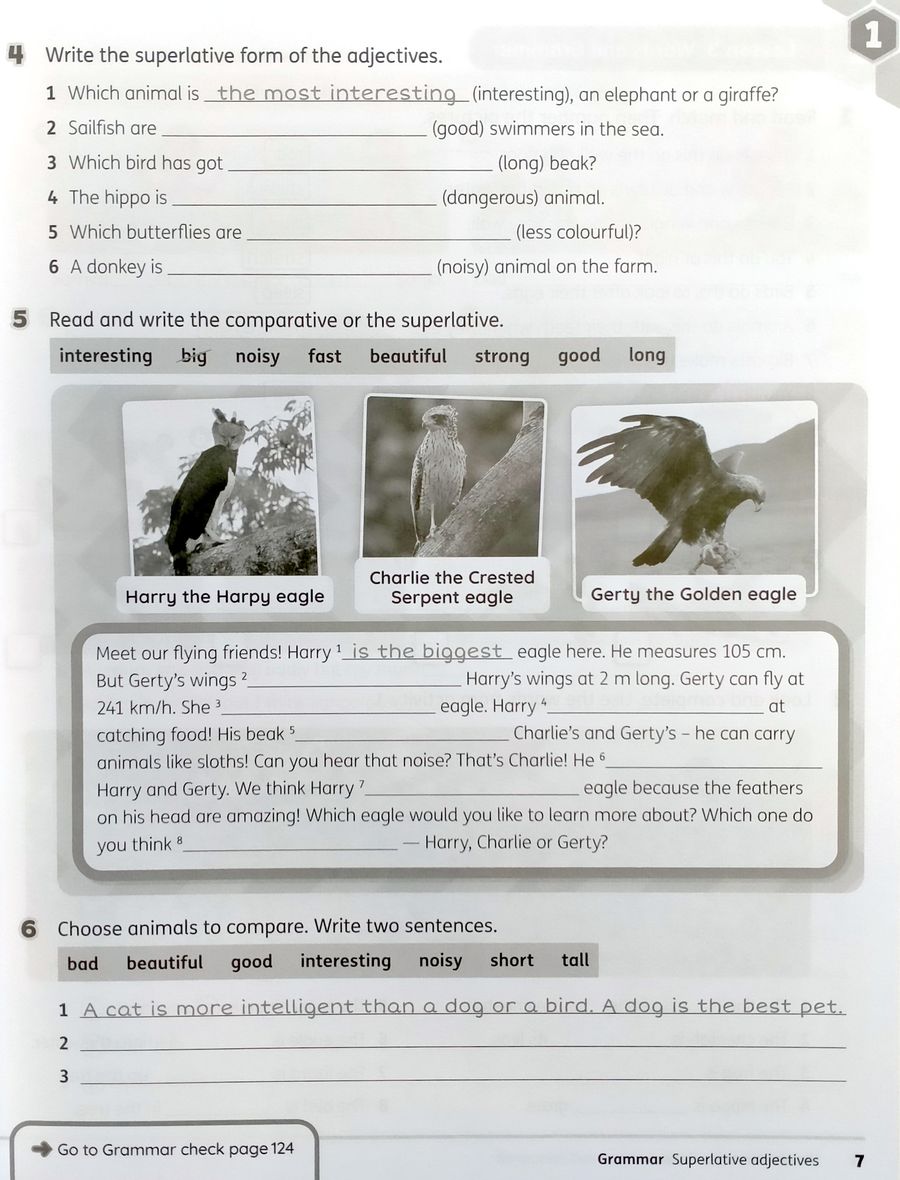 Beehive 4 Workbook