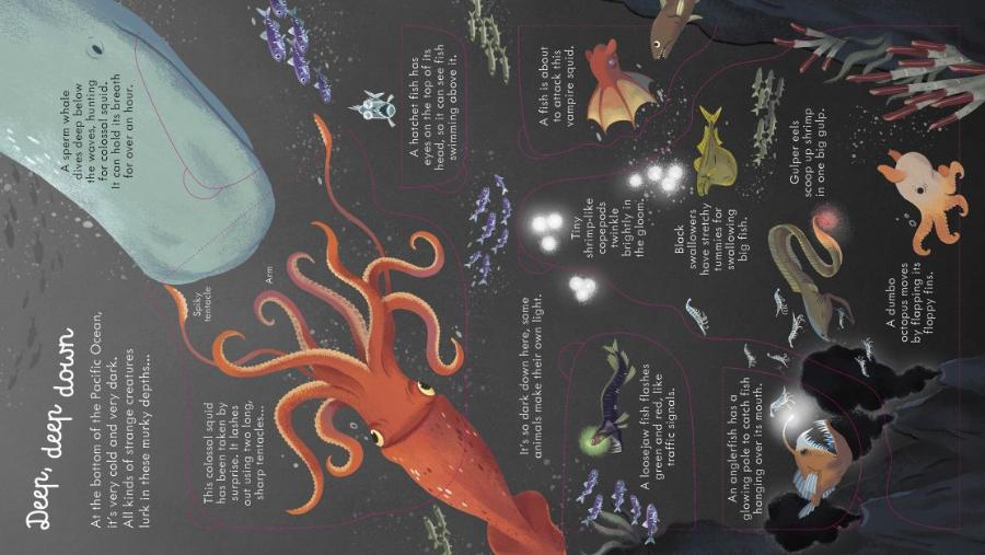 Usborne Look Inside Seas and Oceans