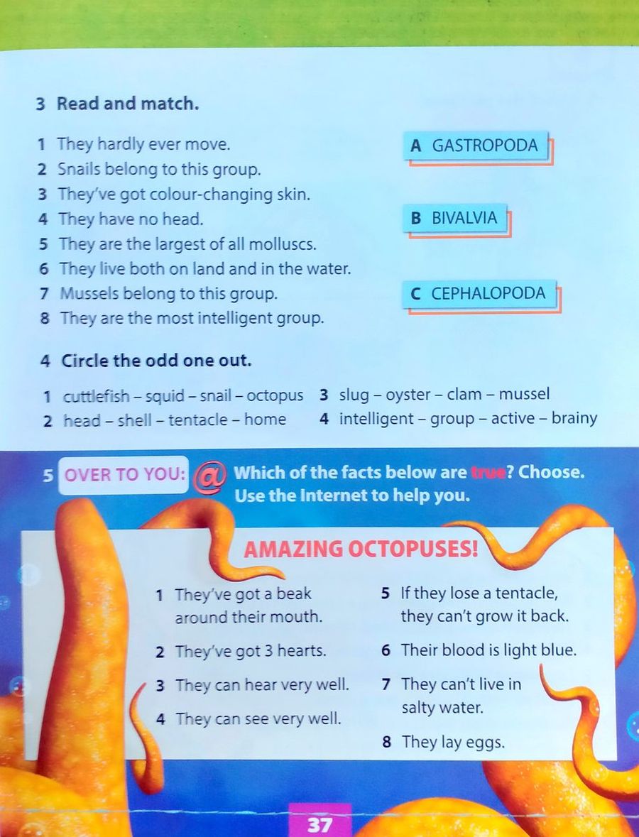Explore Our World CLIL Readers 3 No Bones with Digibook
