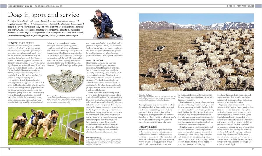 The Dog Encyclopedia The Definitive Visual Guide