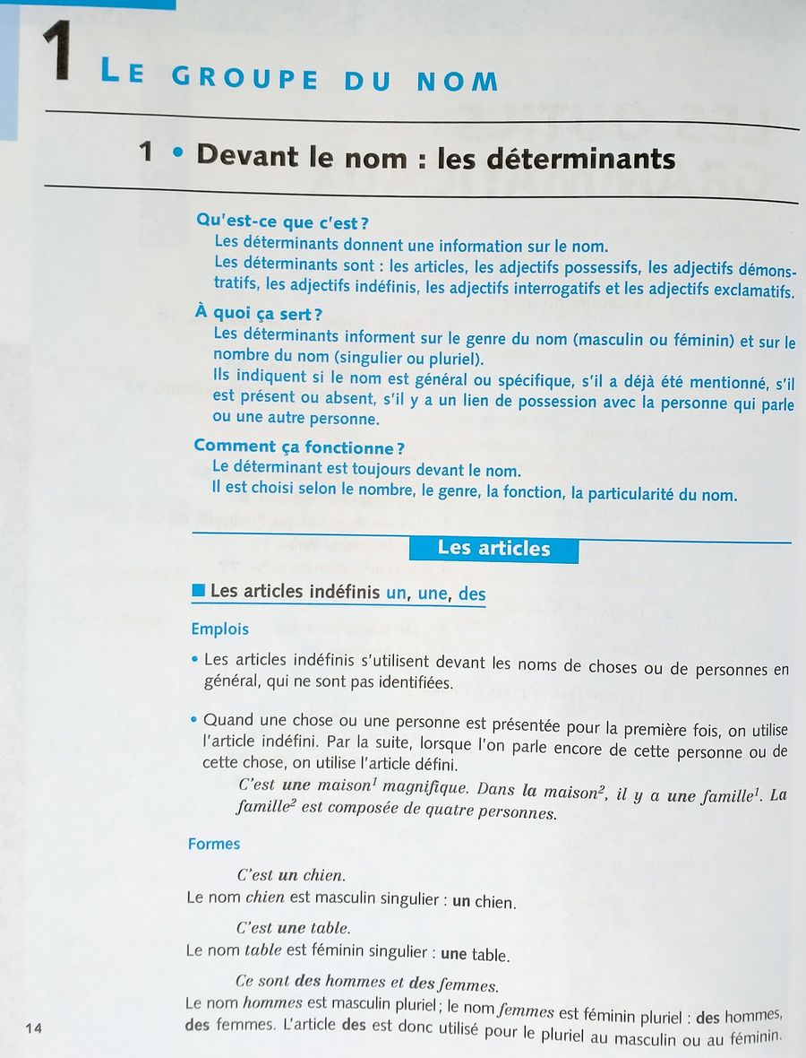 Grammaire expliquee du francais Debutant Livre