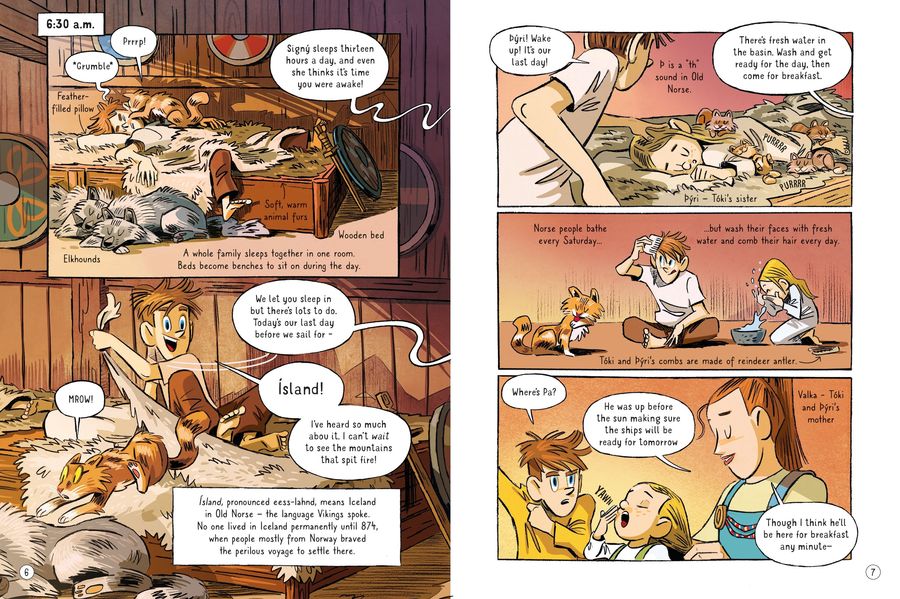 Usborne 24 Hours with the Vikings