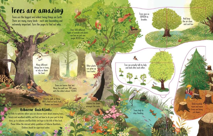 Usborne Lift-the-Flap Trees