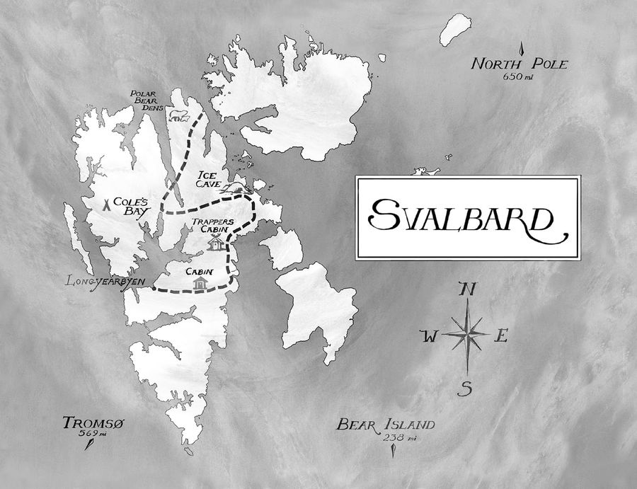 Finding Bear Paperback