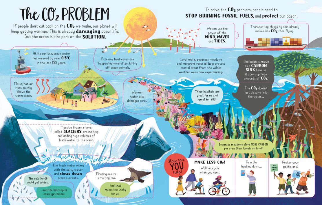 Usborne Lift-the-Flap Looking After Our Ocean