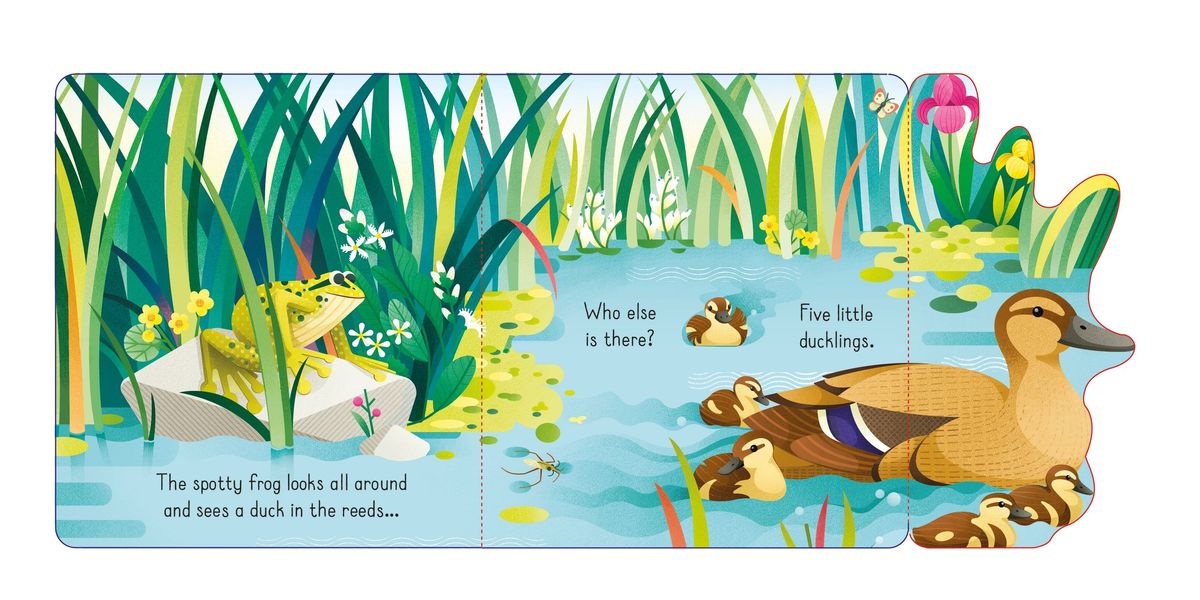 Usborne Little Lift and Look Spotty Frog