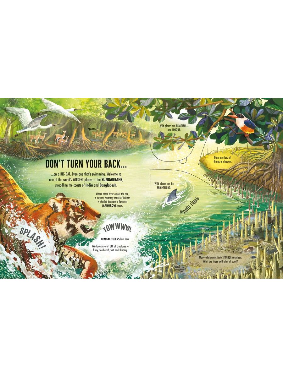 Usborne See Inside Wild Places