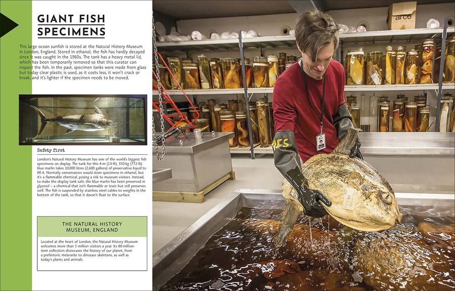 Behind the Scenes at the Museum Your Access-All-Areas Guide to the World's Most Amazing Museums