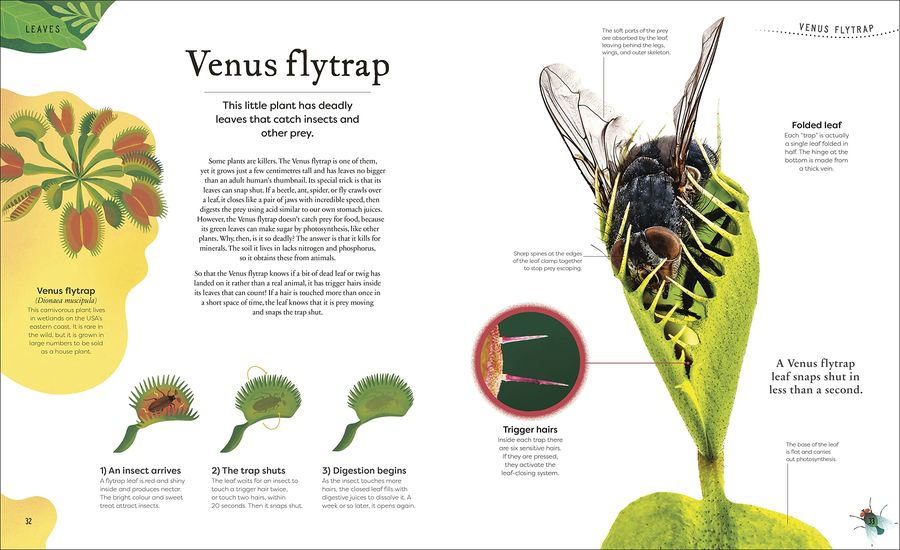 The Secret World of Plants Tales of More Than 100 Remarkable Flowers, Trees, and Seeds