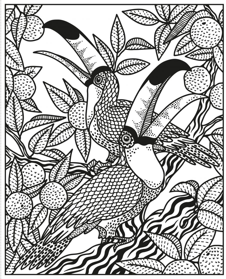 Usborne Wild Animals Magic Painting Book