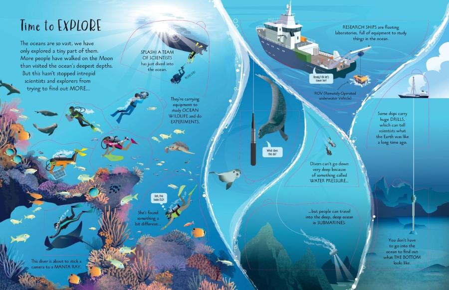 An Usborne Flap Book See Inside Oceans