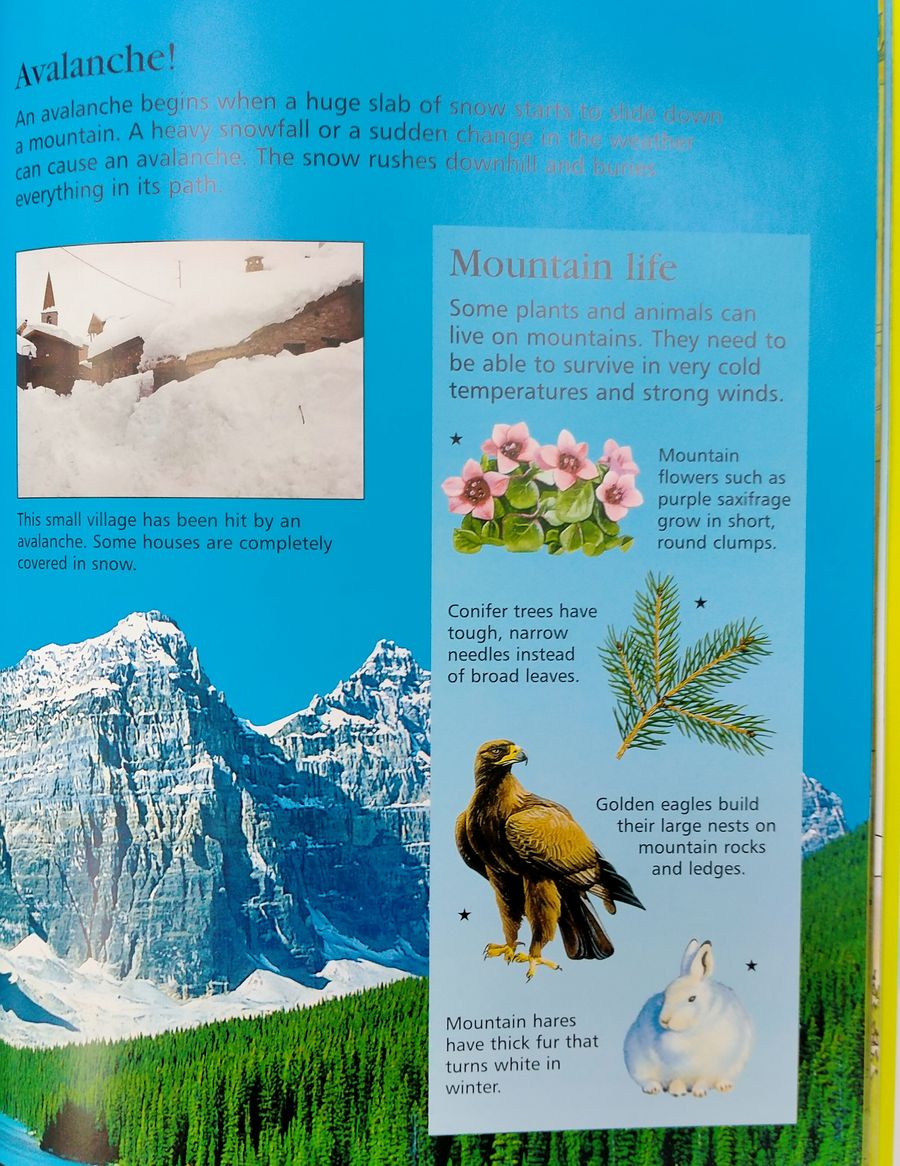 Usborne First Encyclopedia of Our World
