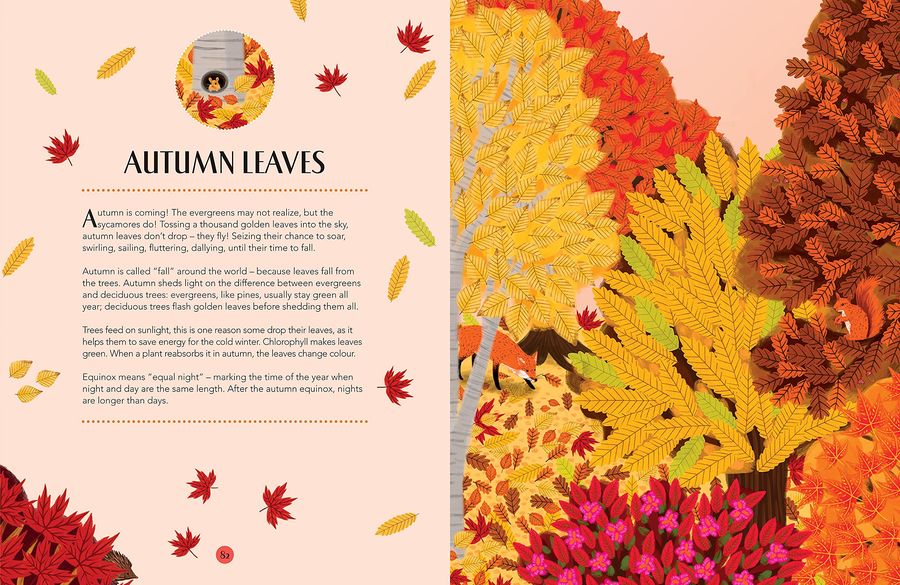 Nature A Magical Journey Through the Year