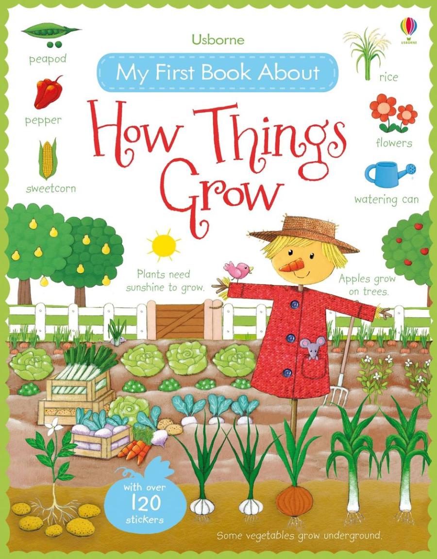 My First Book About How Things Grow Sticker Book
