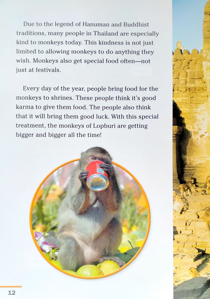 Footprint Reading Library 800 Headwords Monkey Party with Multi-ROM (A2)