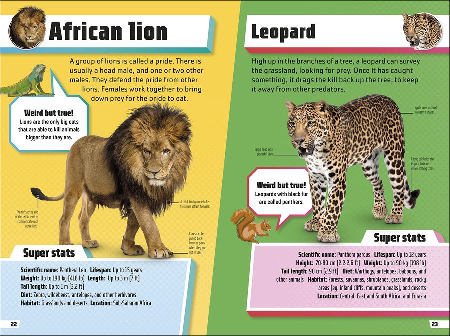 Animal Ultimate Handbook The Need-to-Know Facts and Stats on More Than 200 Animals