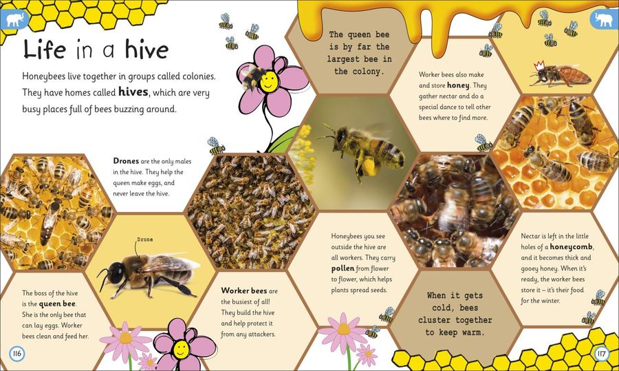 My Encyclopedia of Very Important Animals