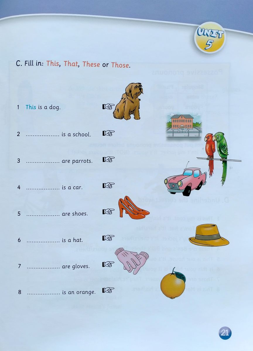 Welcome Plus 1 Vocabulary and Grammar Practice