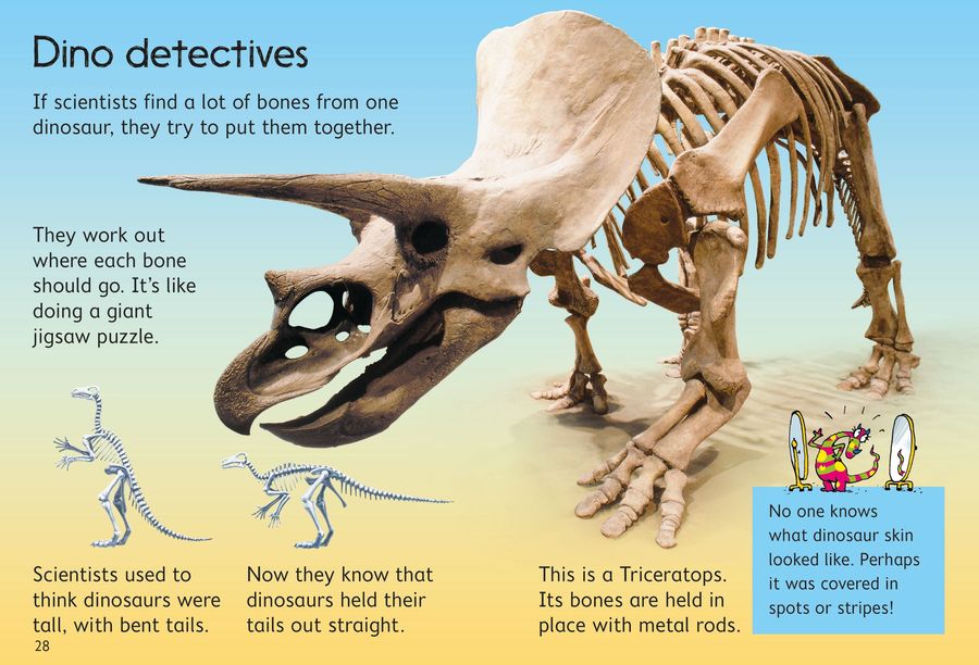Usborne Beginners Dinosaurs