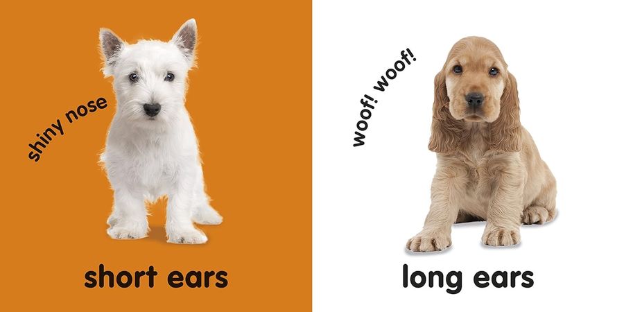 Baby Touch and Feel Puppies