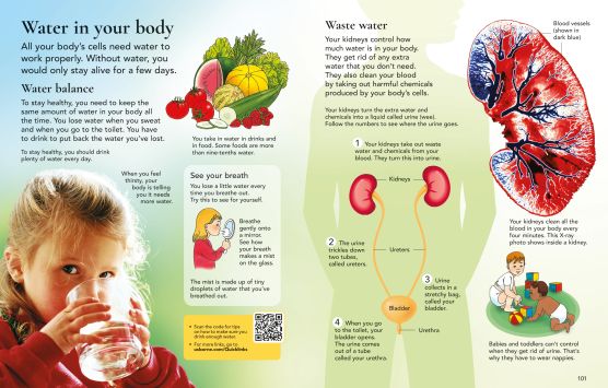 The Usborne Children's Encyclopedia Hardback Edition