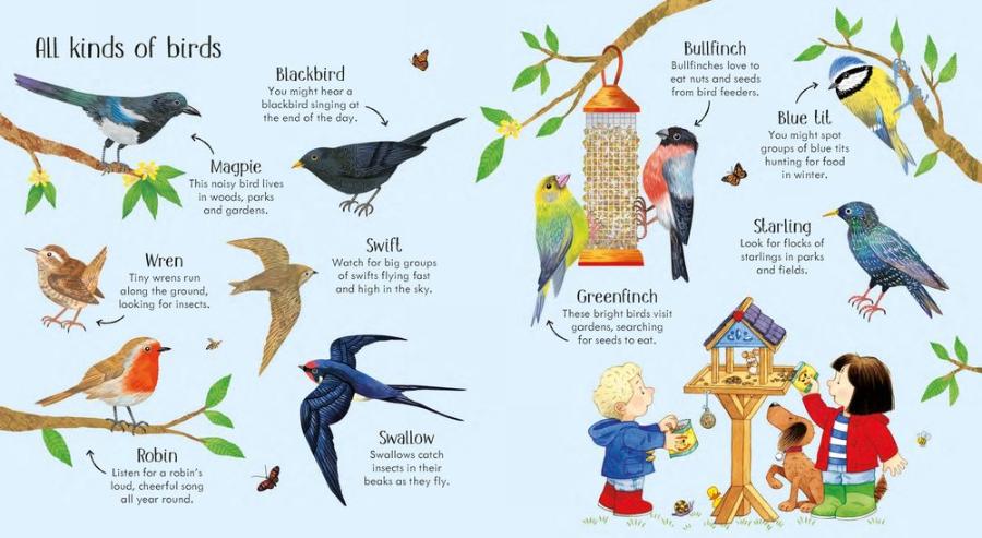 Poppy and Sam's Nature Spotting Book