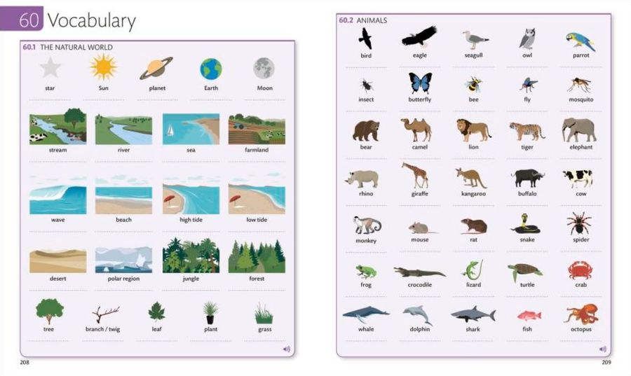 English for Everyone Level 3 Intermediate Course Book with Online Audio