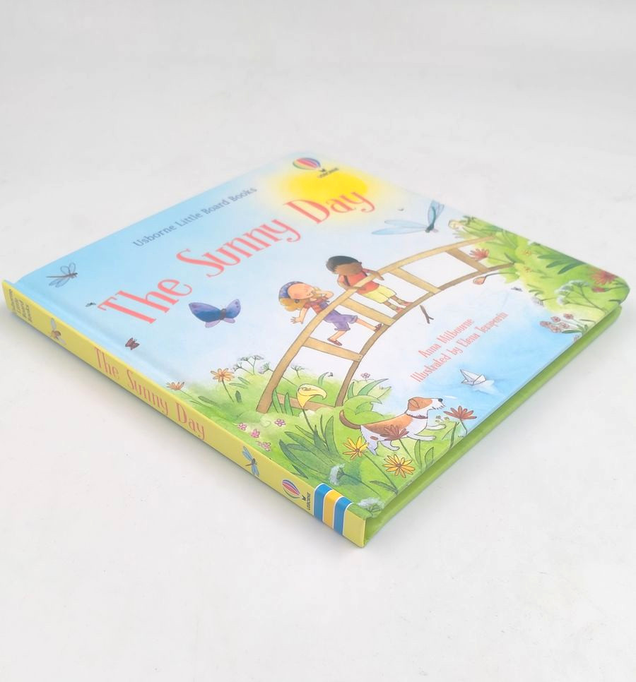Usborne Little Board Books The Sunny Day