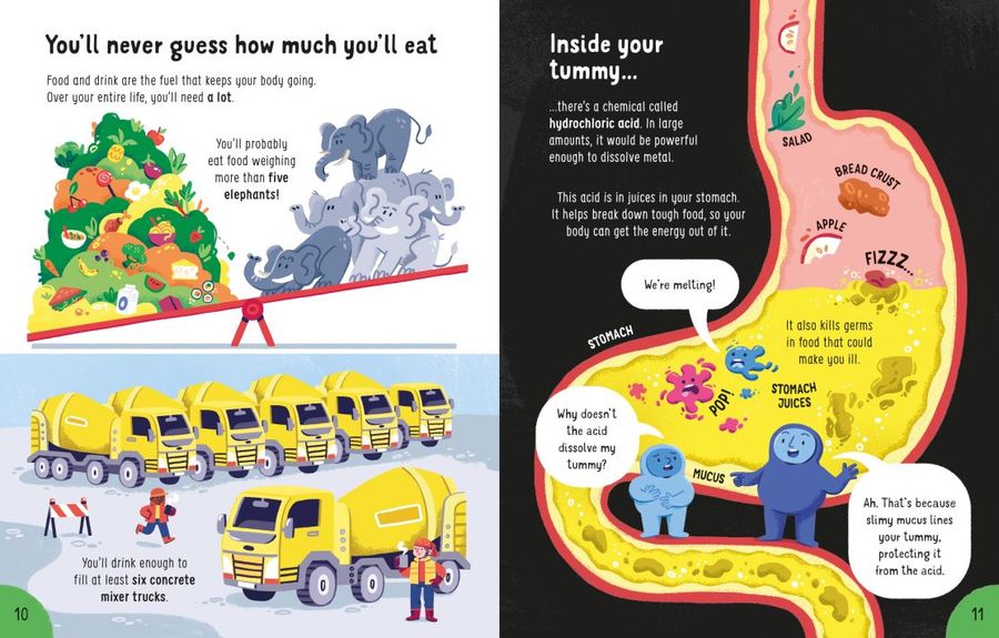 Usborne Big Book of Things to Know