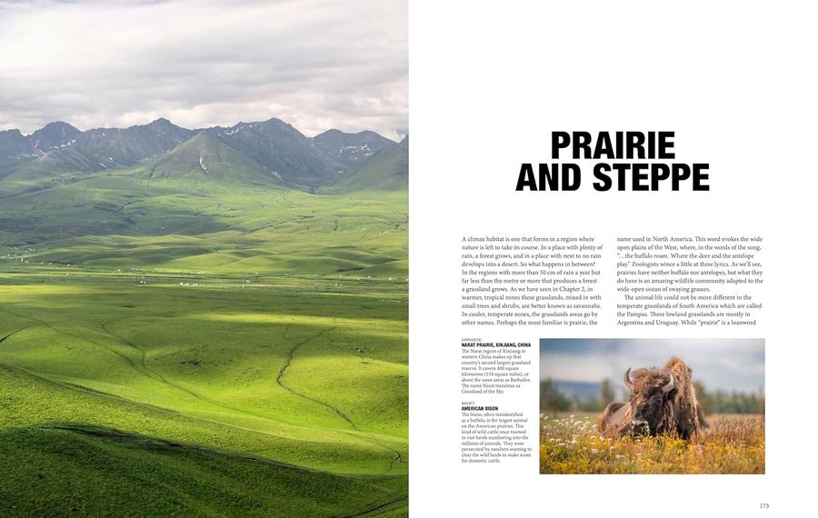 Natural History of the World A Photographic Exploration of Earth's Animals, Plants and Landscapes