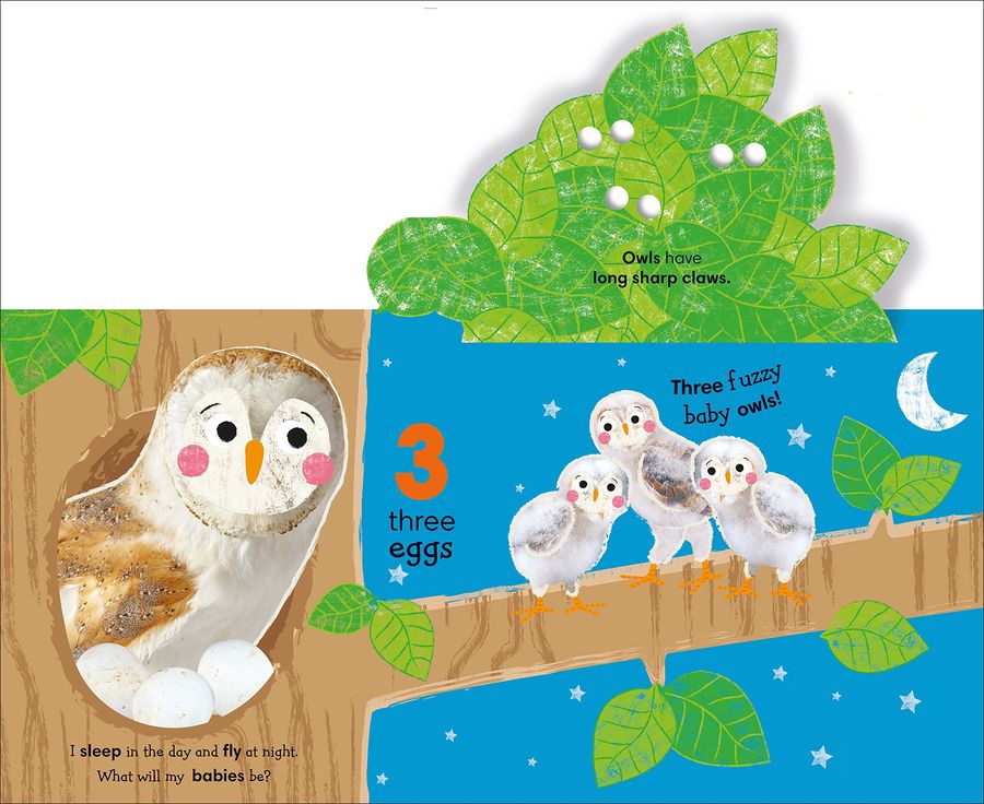 Flip, Flap, Find! Counting 1, 2, 3 Lift the Flaps and Count to 10