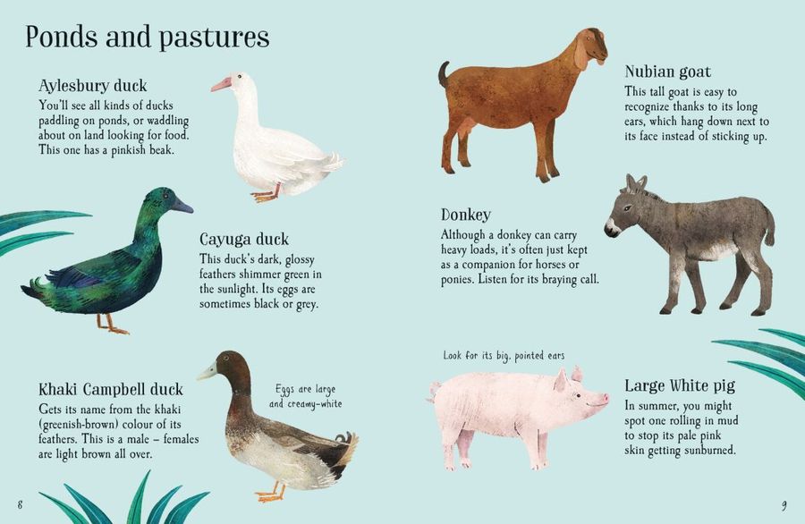 Usborne Minis Farm Animals to Spot