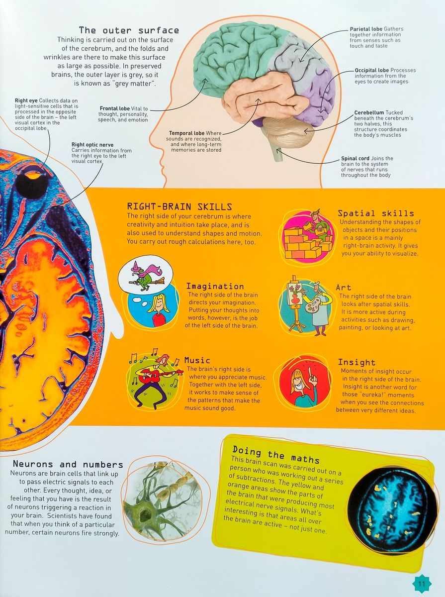 How To Be A Maths Genius Your Brilliant Brain And How To Train купить How To Be A Maths Genius Your Brilliant Brain And How To Train купить