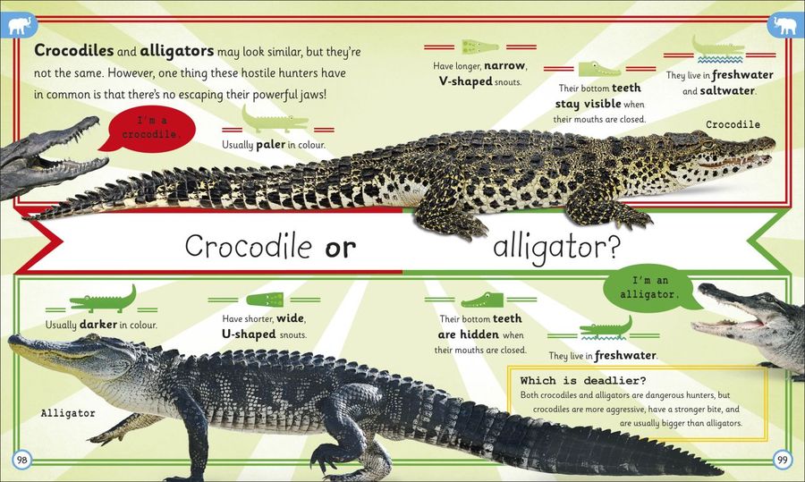 My Encyclopedia of Very Important Animals