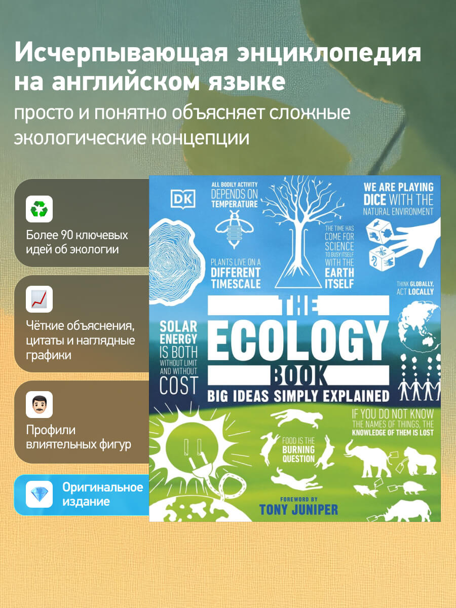 The Ecology Book Big Ideas Simply Explained Hardback