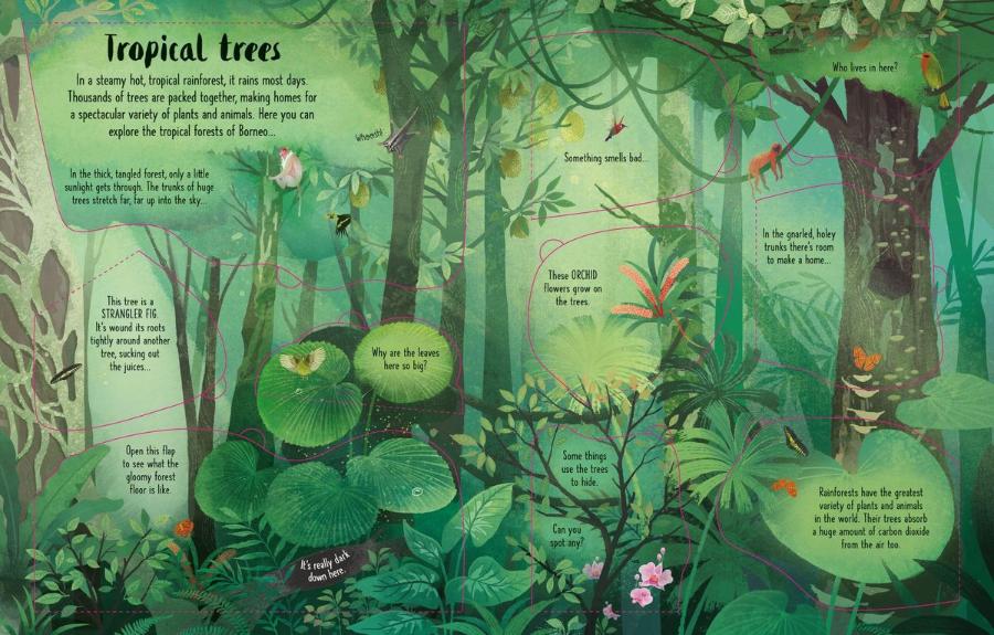 Usborne Lift-the-Flap Trees