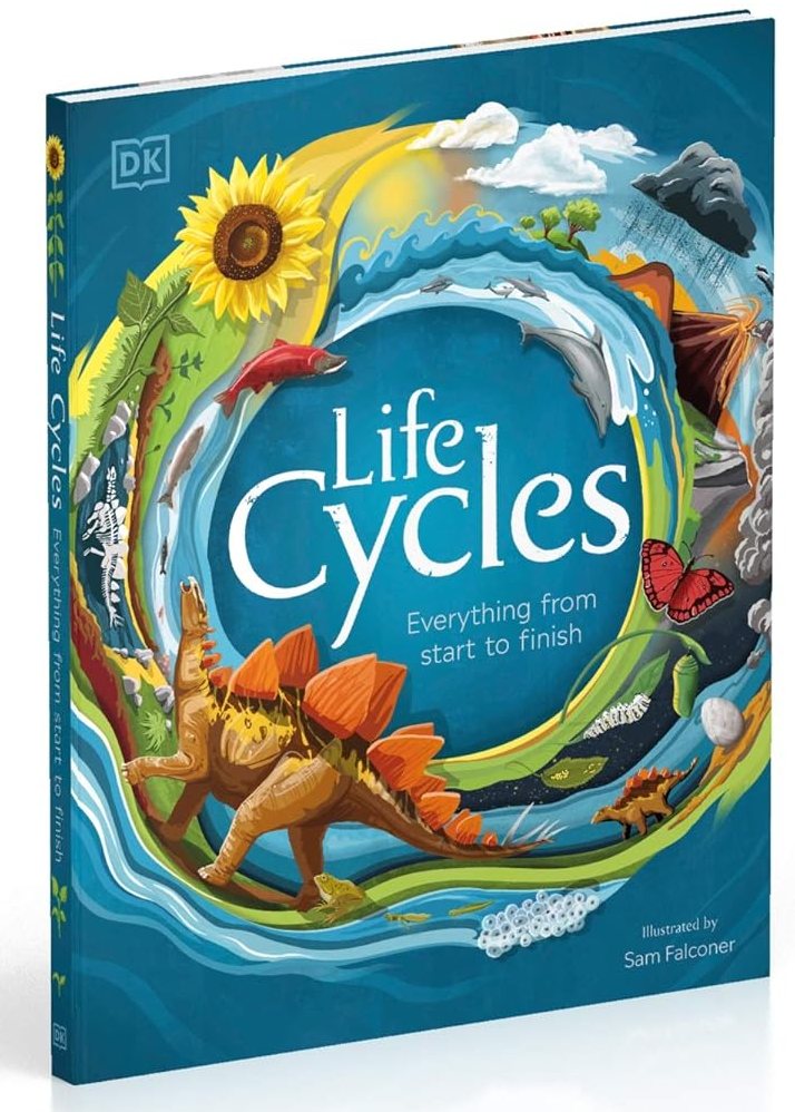 Life Cycles Everything from Start to Finish