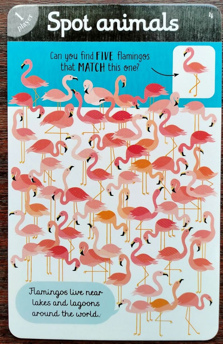 Usborne Never Get Bored On a Plane Cards