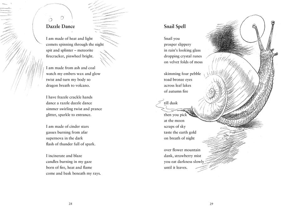 The Big Amazing Poetry Book 52 Weeks of Poetry From 52 Brilliant Poets