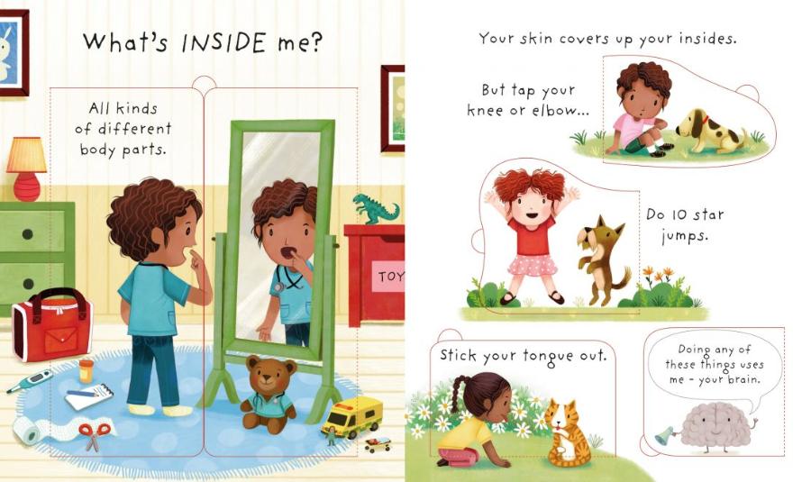 Usborne Lift-the-Flap Very First Questions and Answers What's Inside Me