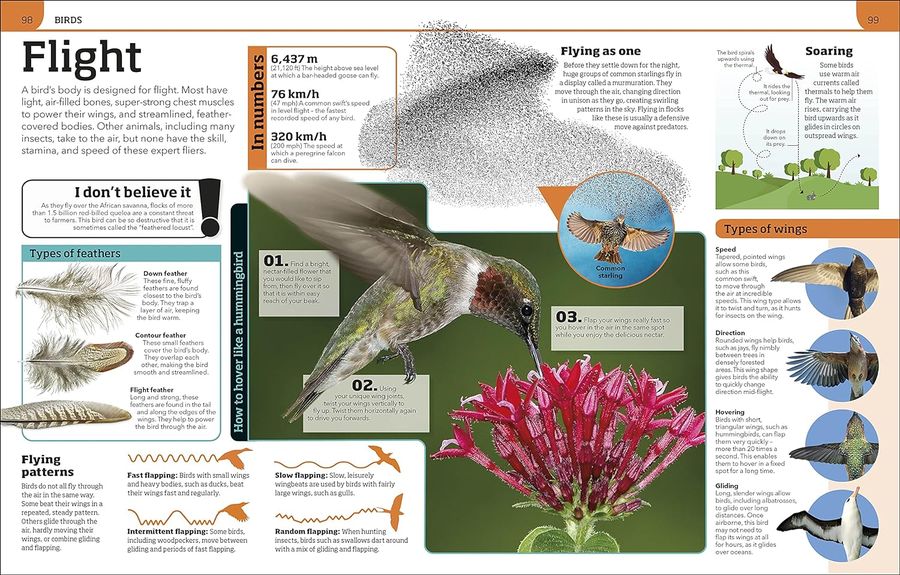 Animal Knowledge Genius A Quiz Encyclopedia to Boost Your Brain