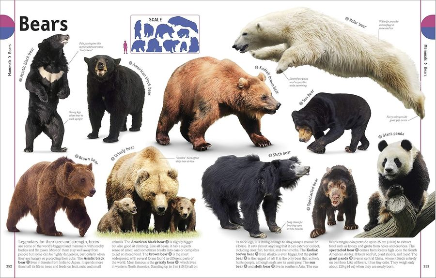 The Animal Book