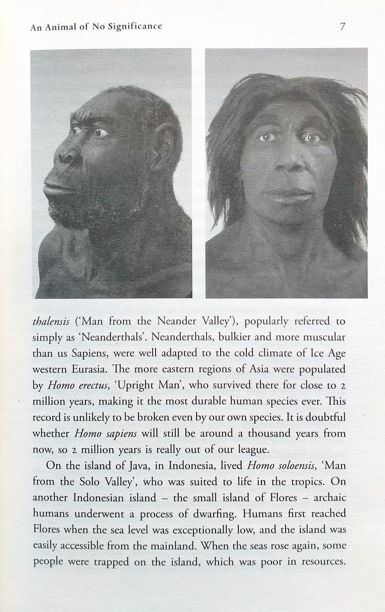 Sapiens A Brief History of Humankind
