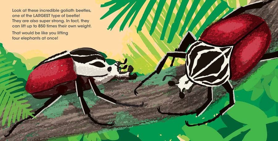 Lifesize Creepy Crawlies World Book Day 2023
