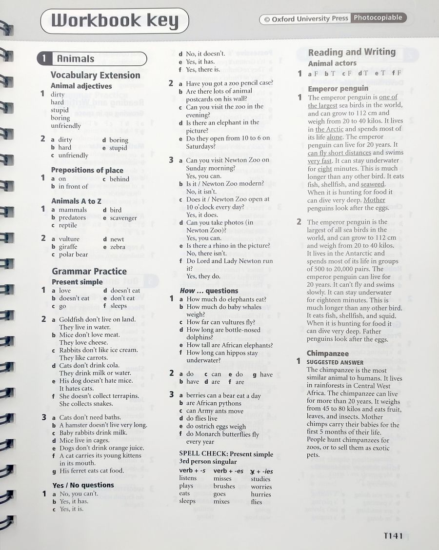 Network 1 Teacher's Book