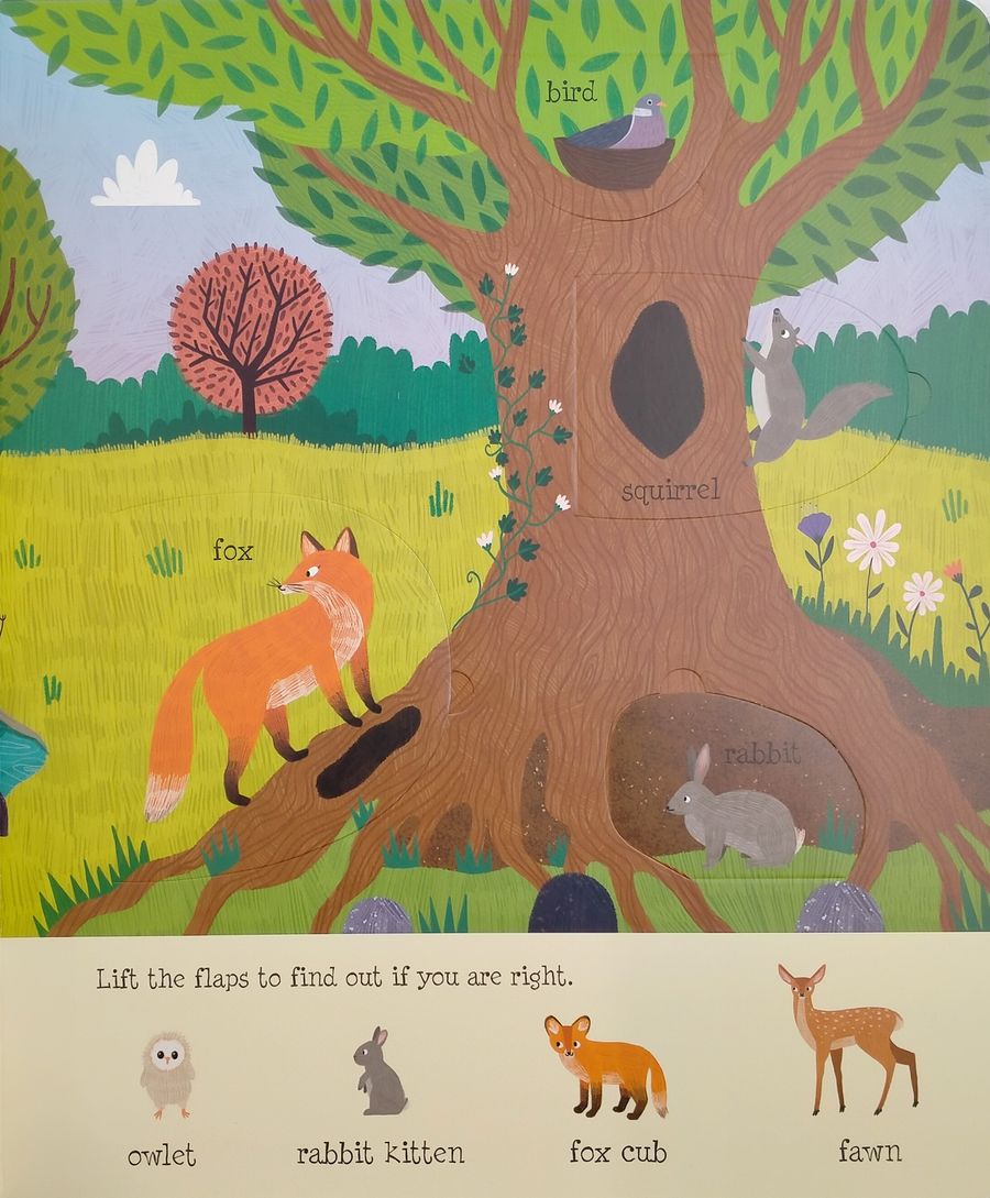 Usborne Lift-the-Flap Nature
